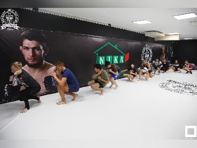НАСТЕННЫЕ ПРОТЕКТОРЫ 'РИНО СПОРТ'